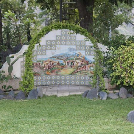 Villa Piersepp B&B 트라피텔로 외부 사진